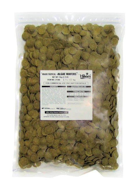 Hikari Algae Wafers Rapidly Sinking Wafer Fish Food 2.2 lb - Image 2