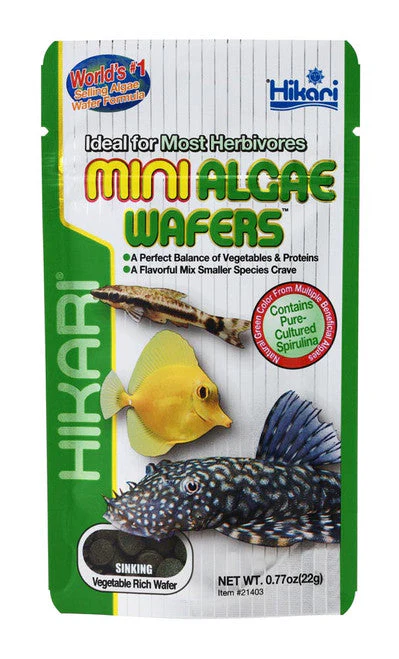 Hikari Algae Wafers Sinking Wafer Fish Food 0.77 oz Mini - Image 2