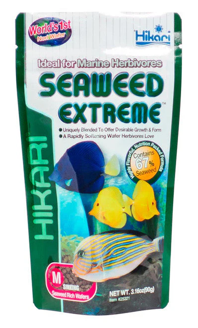 Hikari Seaweed Extreme Wafer Fish Food 3.16oz MD - Image 2