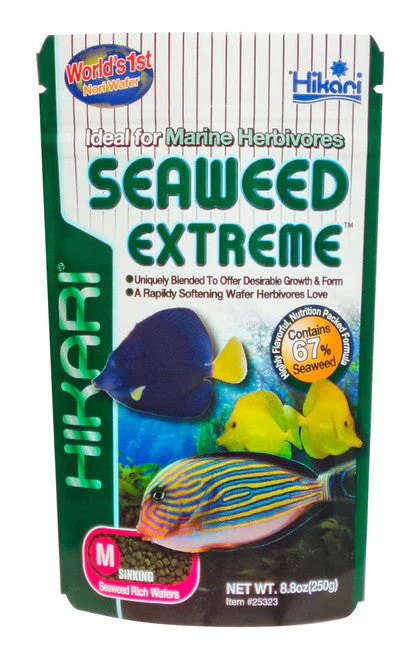 Hikari Seaweed Extreme Wafer Fish Food 8.8oz MD - Image 2