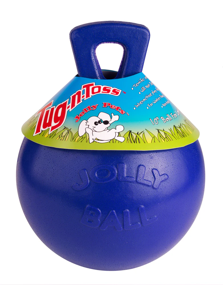 Jolly Pet Tug-n-Toss Dog Toy Blue 4.5 in, Small