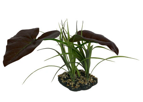 Komodo Rainforest Canopy Plant 10in - Image 2