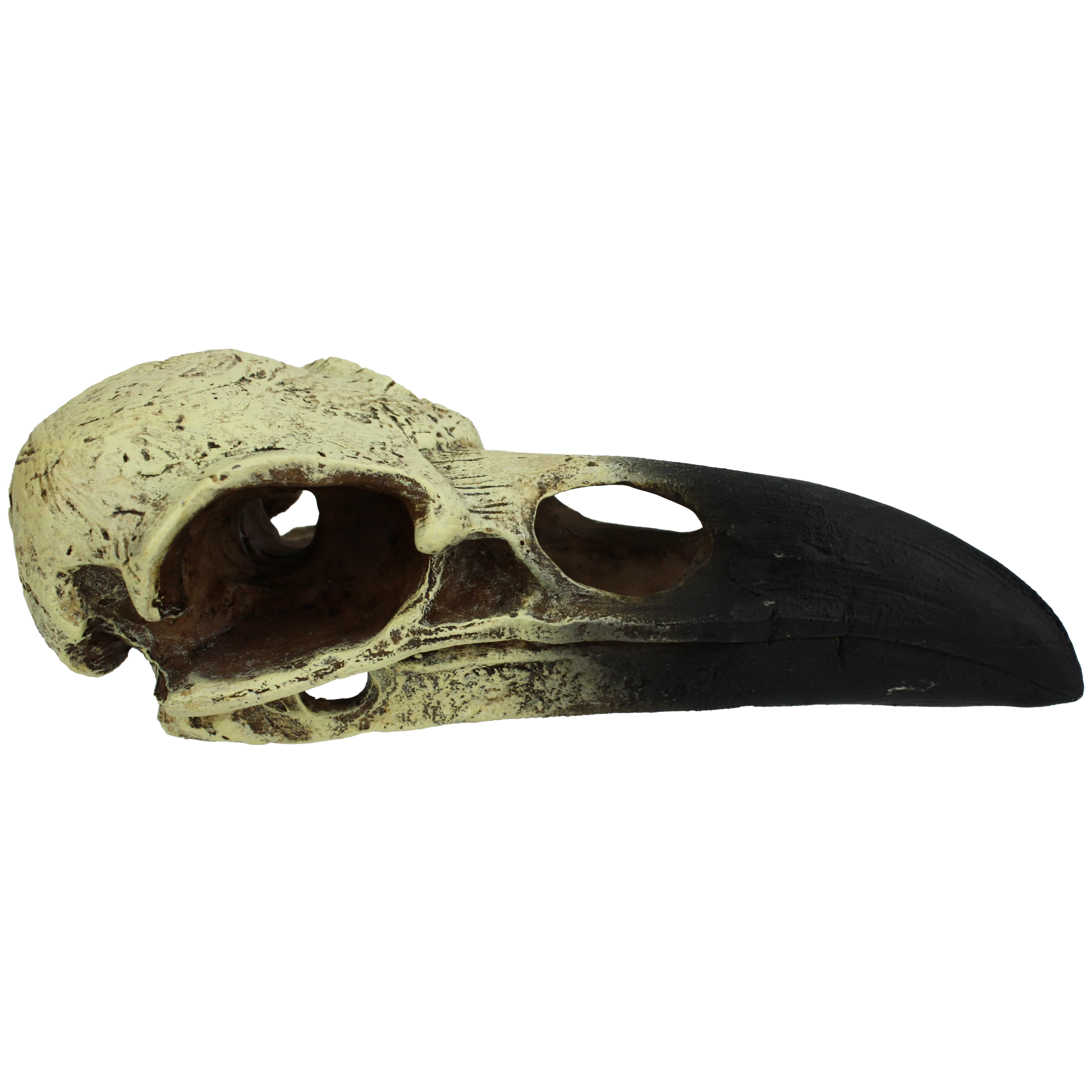 Komodo Raven Skull Hideout Large, 18 in