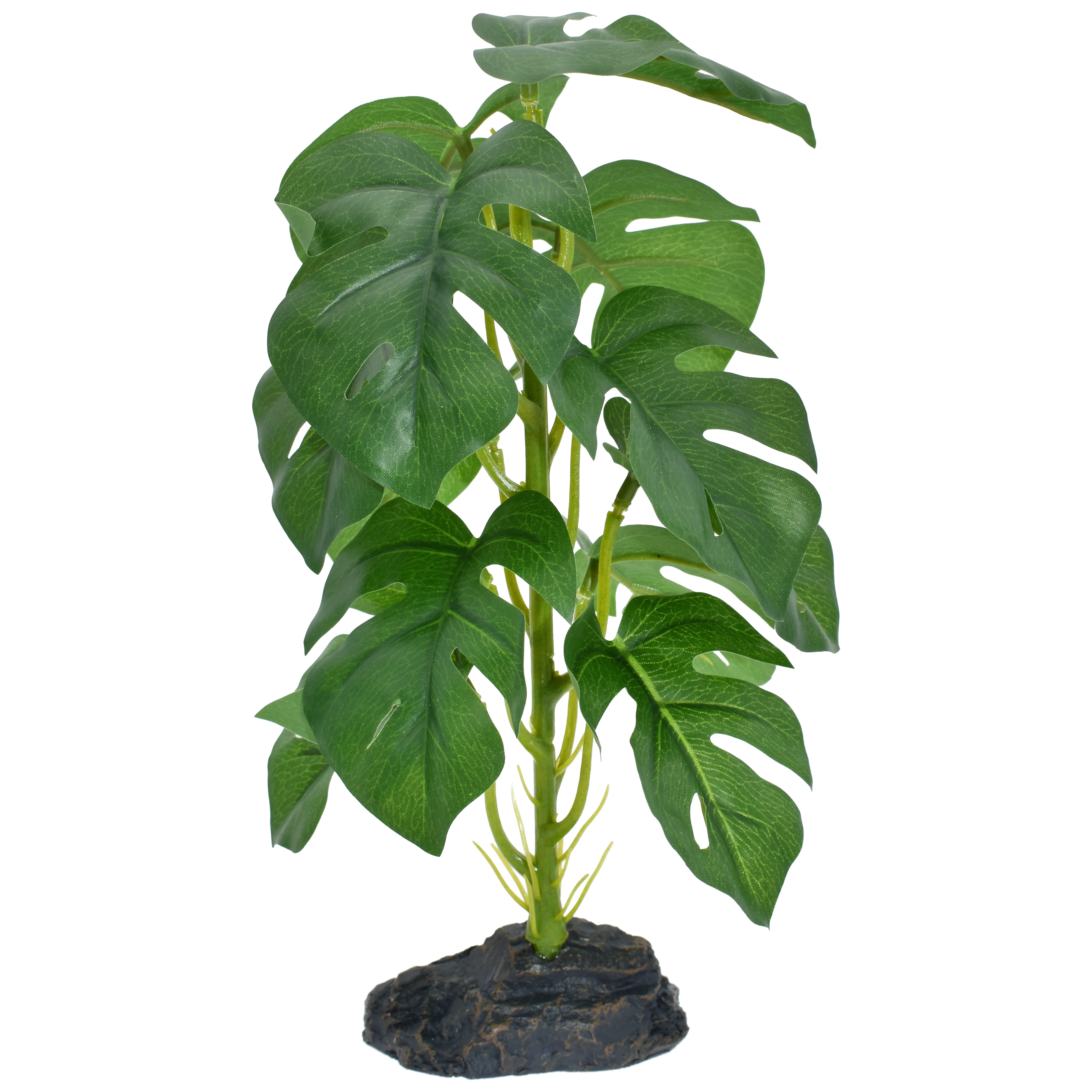 Komodo Standing Monstera Plant 10 in
