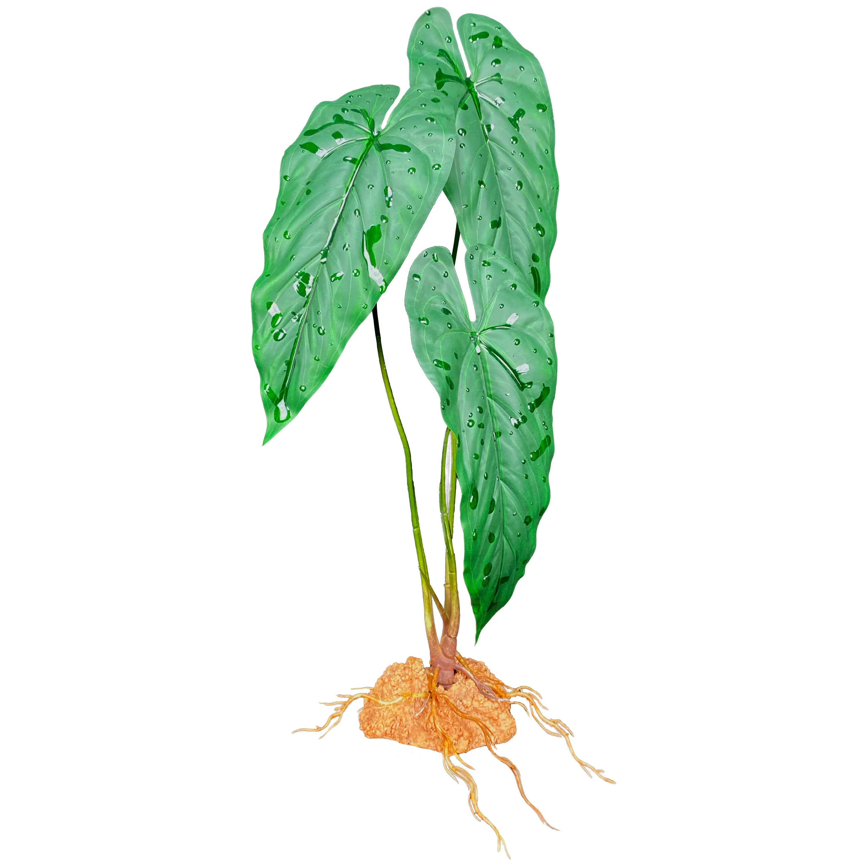 Komodo Standing Plant Emerald Vine 18 in