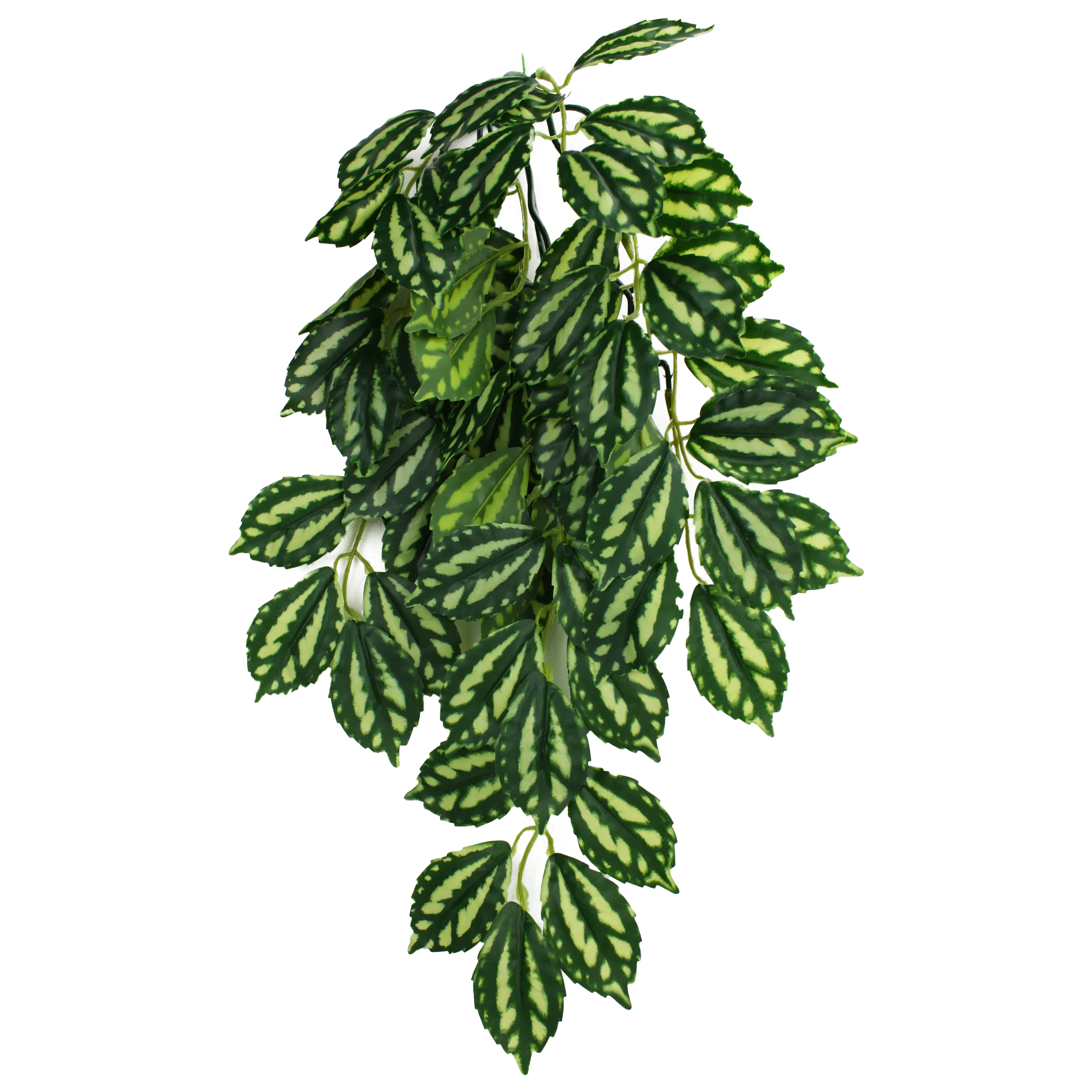 Komodo Two-Toned Leaf Hanging Plant Small, 16 in