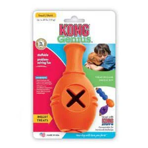 Kong Genius {L+1x} Small Leo {L+1xR} 292133 (DD) - Image 2