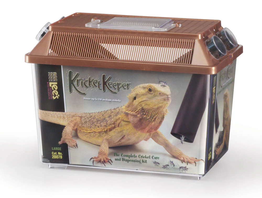 Lees Kricket Keeper Brown LG
