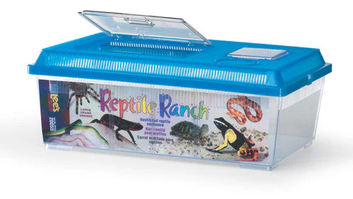 Lees Rectangle Reptile Ranch Assorted 17.75in X 6.87in LG - Image 2