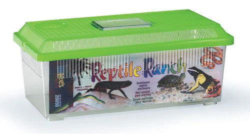 Lees Rectangle Reptile Ranch Assorted 14.37in X 5.93in SM - Image 2
