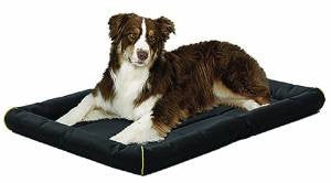 Midwest Quiet Time Maxx Bed Black 42x29 {L-1}277232