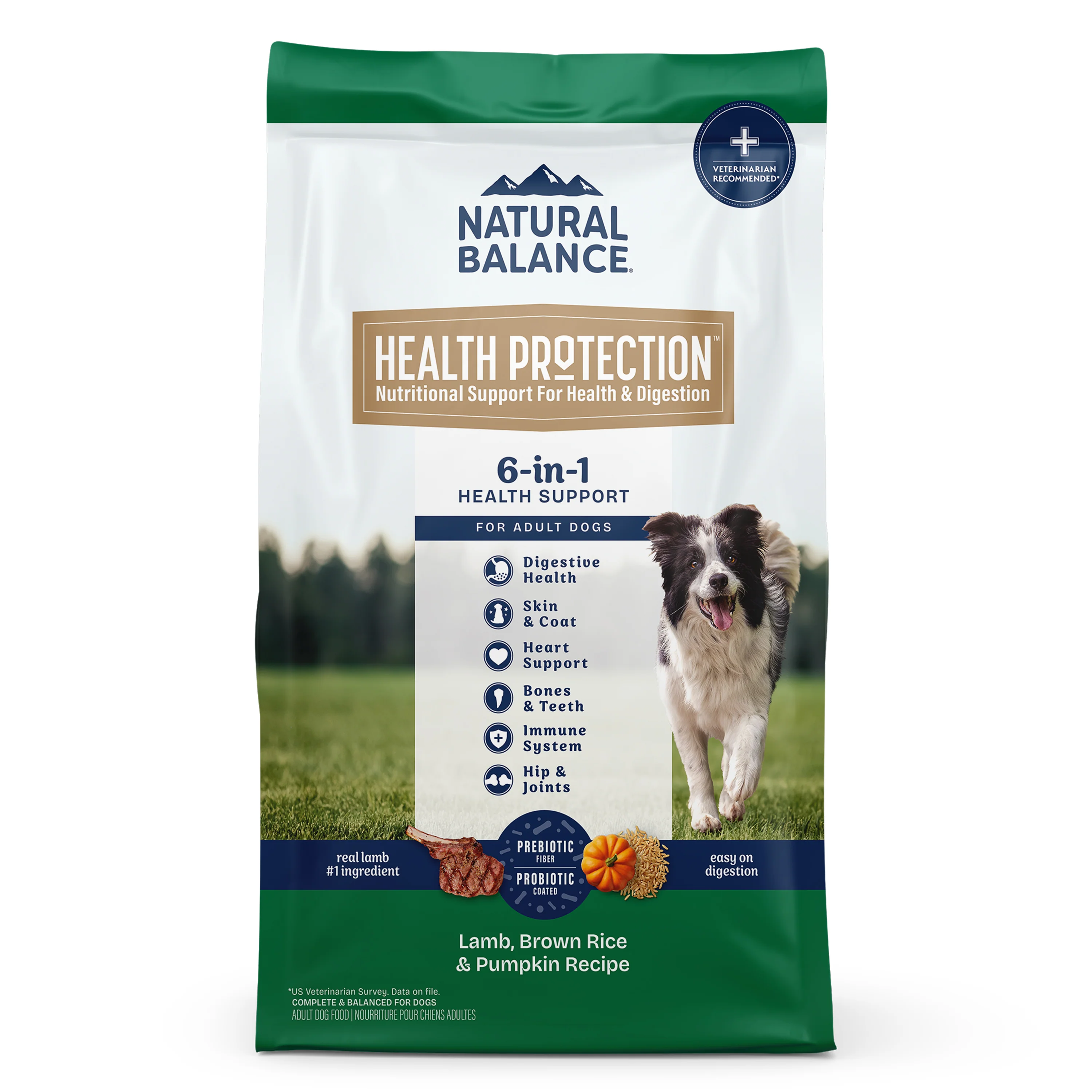 Natural Balance Pet Foods Health Protection Dry Dog Food Lamb, Rice & Pumpkin 24 lb
