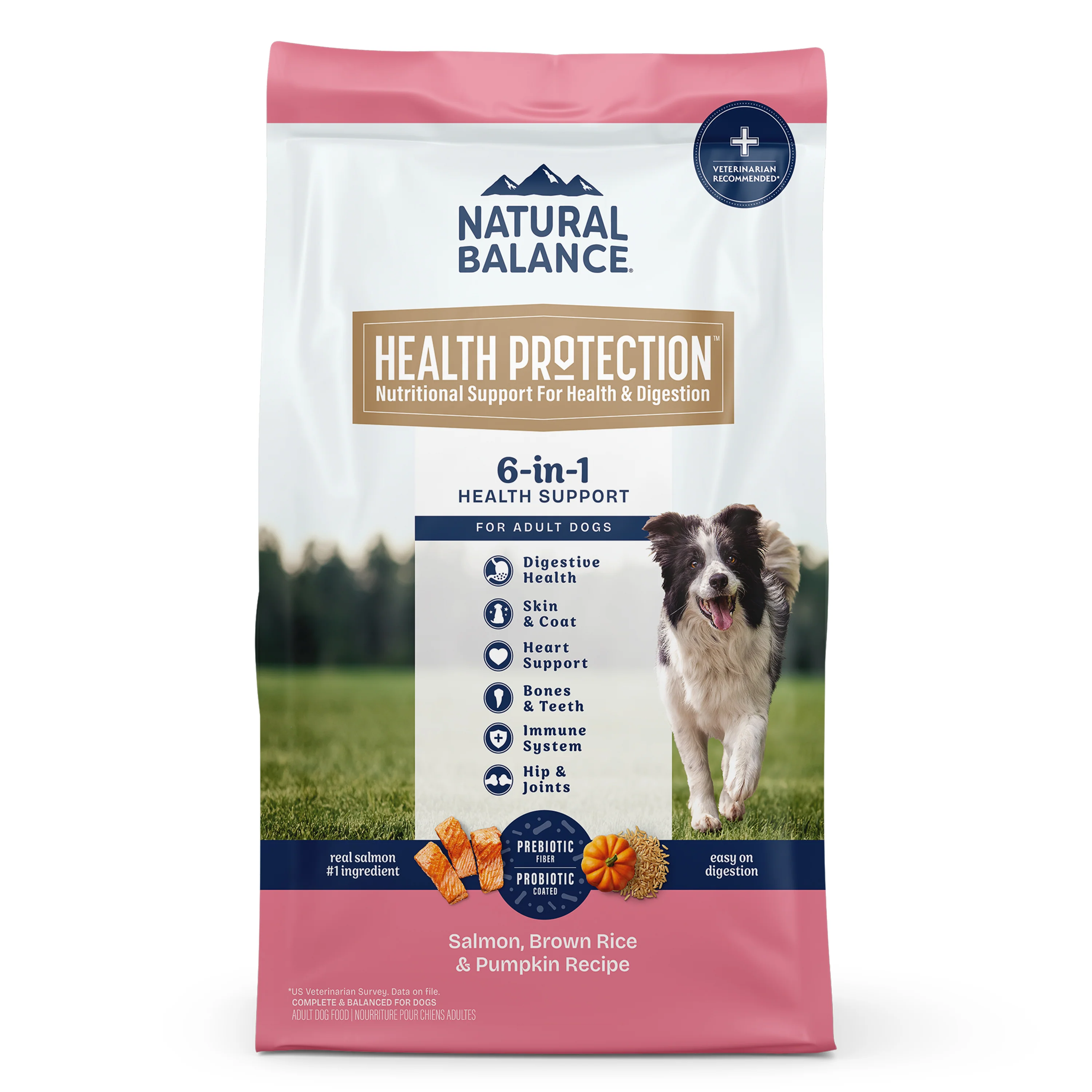 Natural Balance Pet Foods Health Protection Dry Dog Food Salmon, Brown Rice & Pumpkin 4 lb