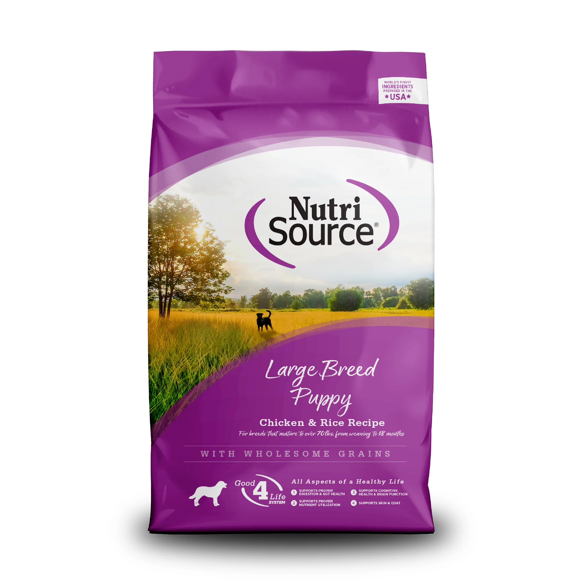 NutriSource Large Breed Puppy Dry Dog Food Chicken & Rice 26 lb