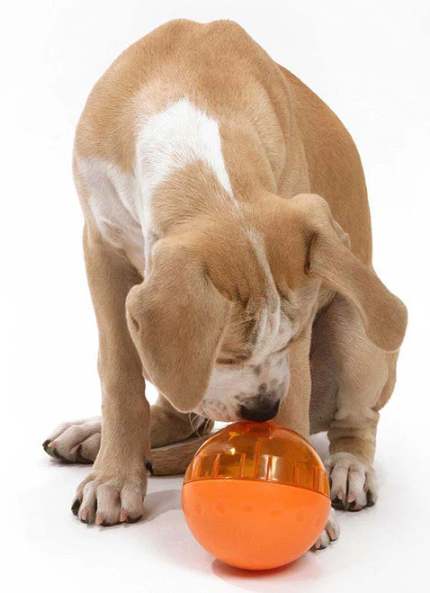 OurPets IQ Treat Ball Slow Feed Dog Toy Assorted LG 4in - Image 2