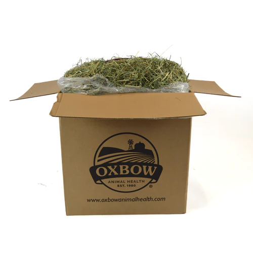 Oxbow Animal Health Orchard Grass Hay 25lb - Image 2