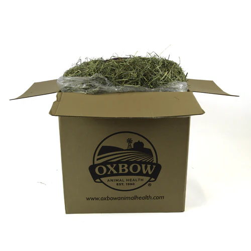 Oxbow Animal Health Orchard Grass Hay 50lb - Image 2