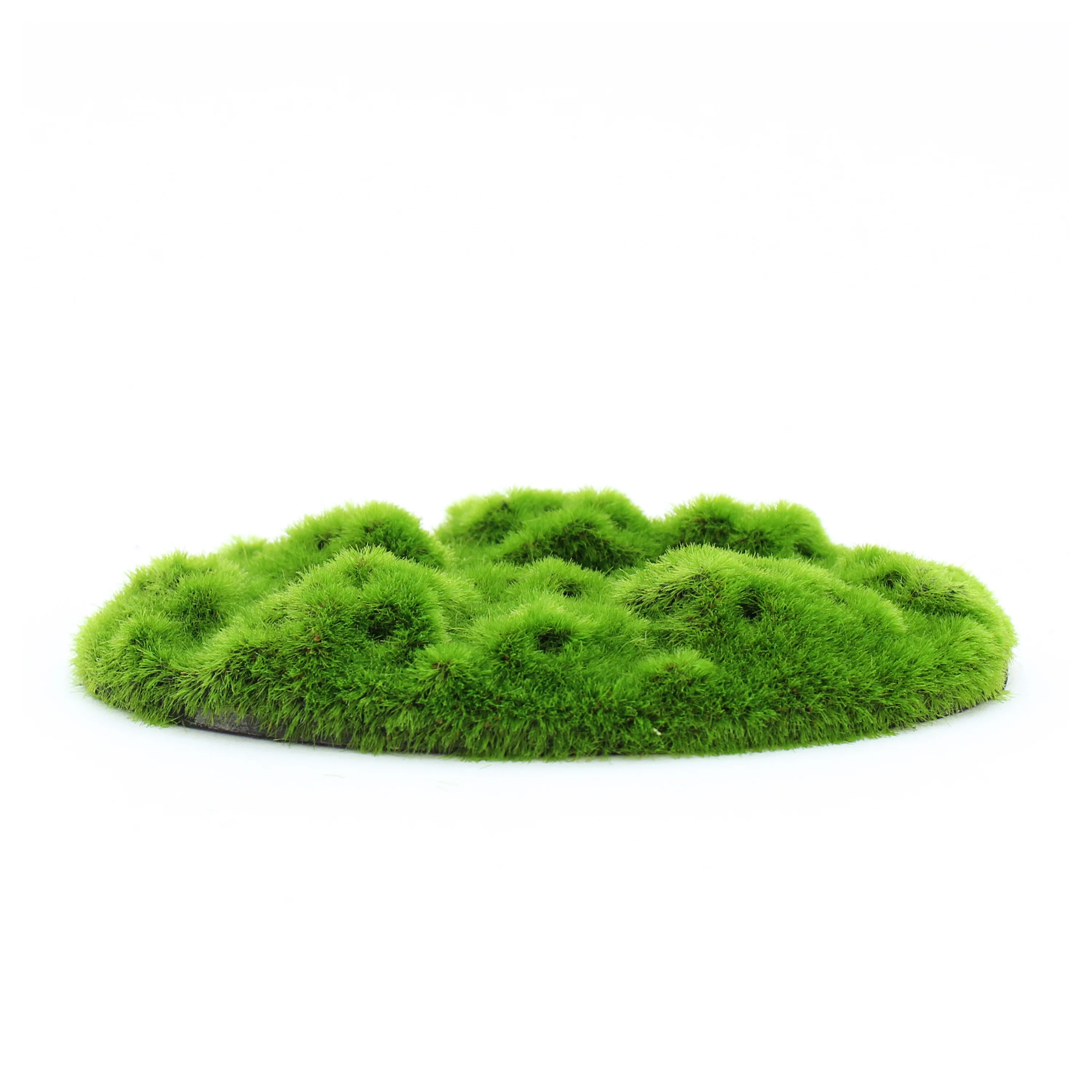 Penn-Plax Aqua-Flora Living Moss Patch Aquarium Ornament 2ea/One Size