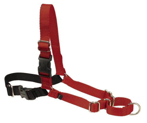 PetSafe Easy Walk Dog Harness Black/Red MD - Image 2