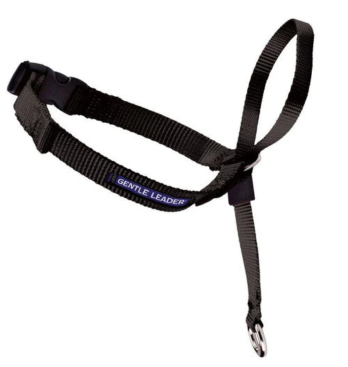 PetSafe Headcollar No-Pull Dog Collar Black XL - Image 2