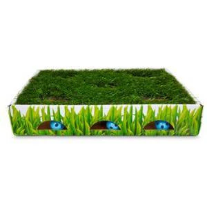 Petstages Grass Patch Hunting Box Invironment Cat Toy {L-b}716108