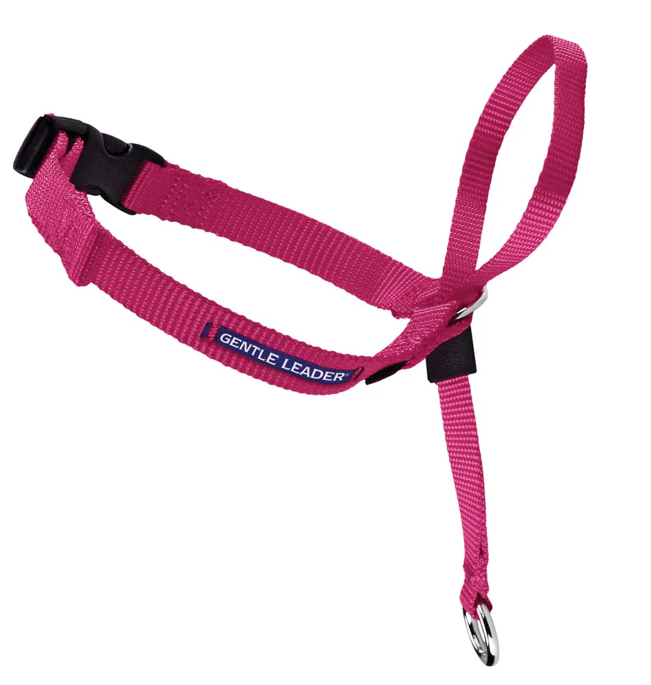 PetSafe Gentle Leader No-Pull Dog Headcollar Raspberry Large