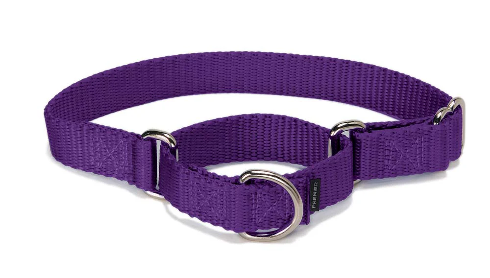 PetSafe Nylon Dog Collar Deep Purple 1In X 14-20 in, Large