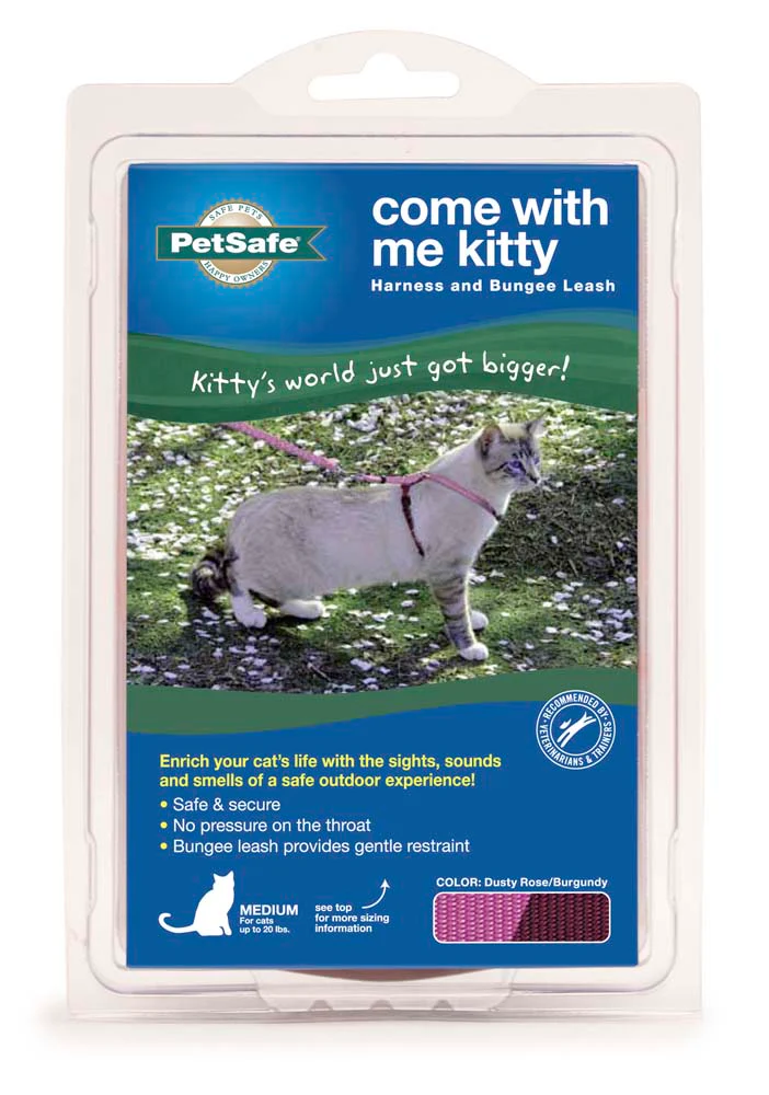 PetSafe Premier Come With Me Kitty Harness & Bungee Leash Combo Dusty Rose/Burgundy Large
