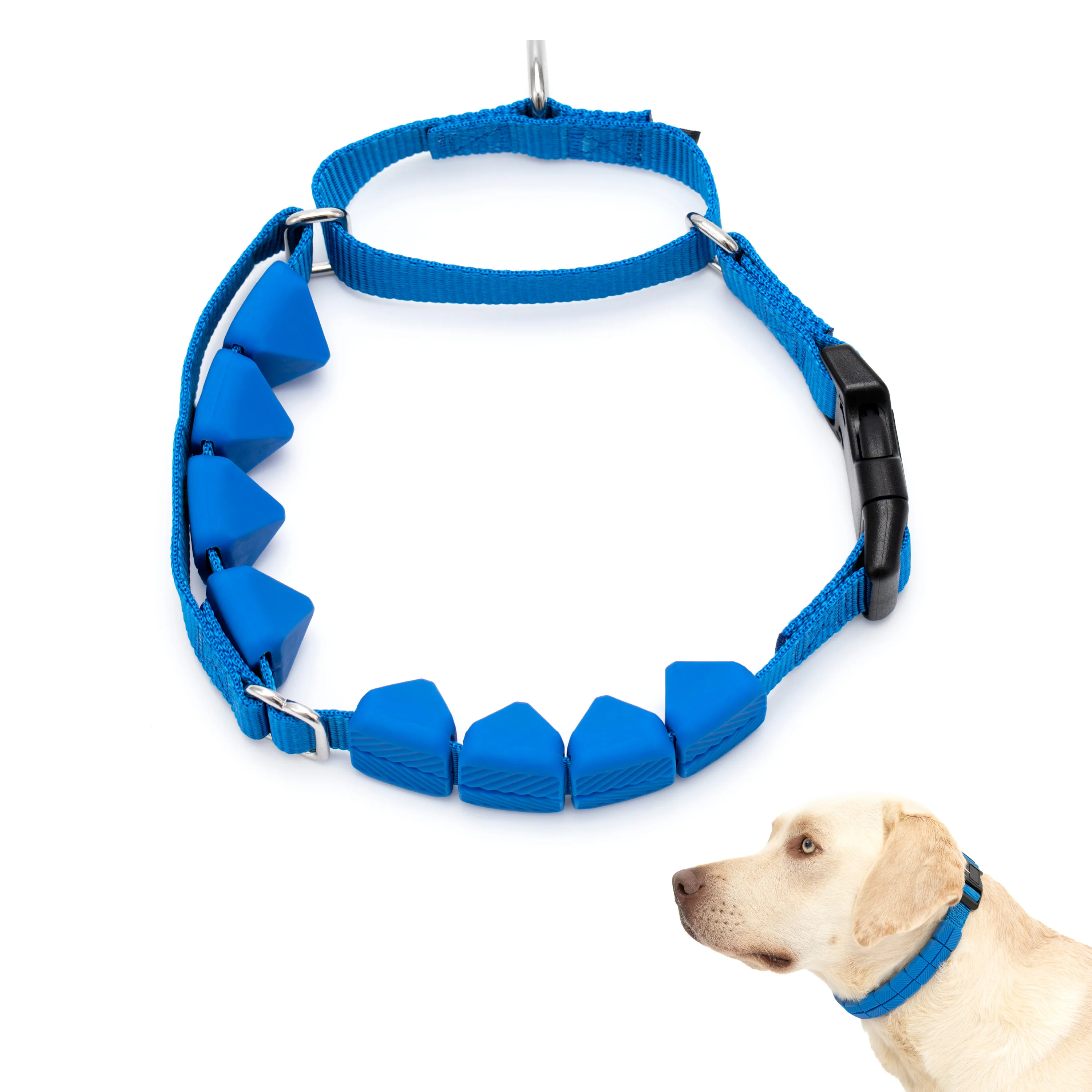 PetSafe Soft Point Training Collar 1in wide Royal Blue Large