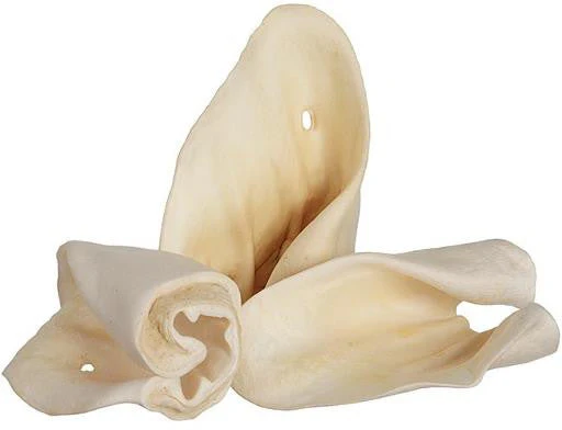 Red Barn Cow Ears 100/Case {L+b}416113