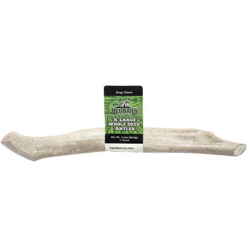 Redbarn Natural Deer Antler Dog Treat Whole XL 2.4oz - Image 2
