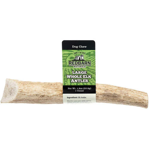 Redbarn Natural Elk Antler Dog Treat Whole LG 1.9oz - Image 2
