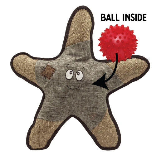 Snugarooz Sophie the Starfish w/Rubber Spikey Ball Grey Dog Toy-21" {L+1}712027 - Image 2