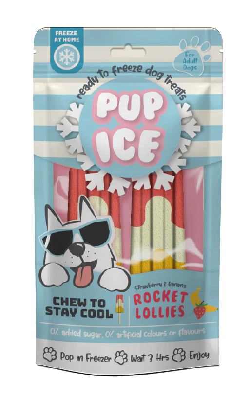 Spot Pup Ice Dog Chew Treat Rocket Lollie Strawberry & Banana 2 pk
