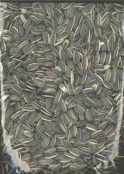 Vitakraft/Sunseed Sunflower Striped 40 lb. {L-1}220179