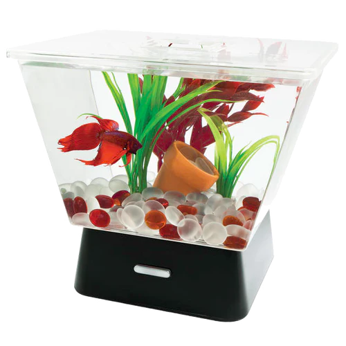 Tetra LED Trapezoid Betta Tank Clear 1 gal - Image 2