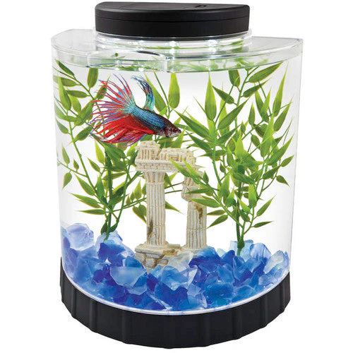 Tetra LED Half Moon Betta Kit Clear 1 gal - Image 2