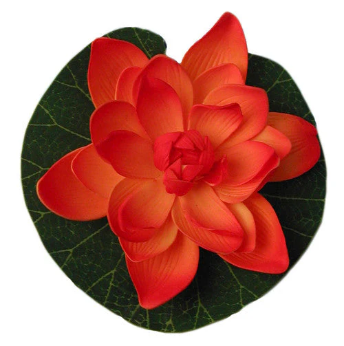 Tetra Pond Silk Lily Floating Plant - Image 2