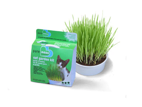 Van Ness Plastics Pureness Oat Garden Kit 4oz - Image 2