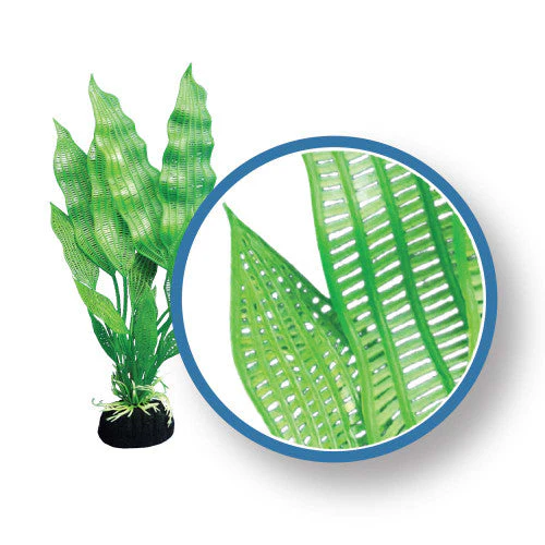 Weco Freshwater Pro Series Madagascar Lace Aquarium Plant Green 18 in - Image 2