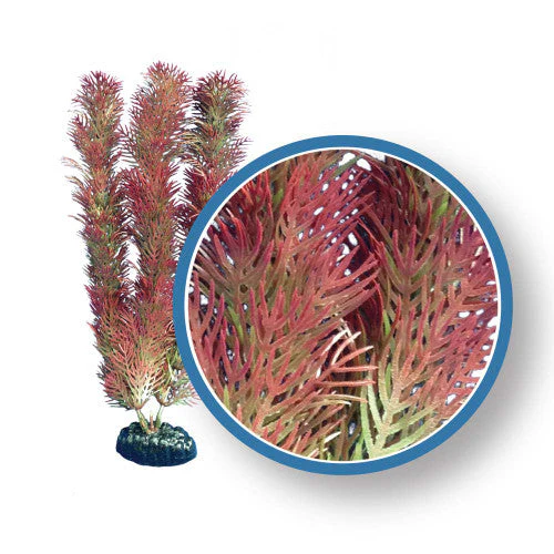 Weco Freshwater Pro Series Cabomba Aquarium Plant Red 18 in - Image 2