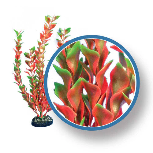 Weco Freshwater Pro Series Ludwigia Aquarium Plant Red 24 in - Image 2