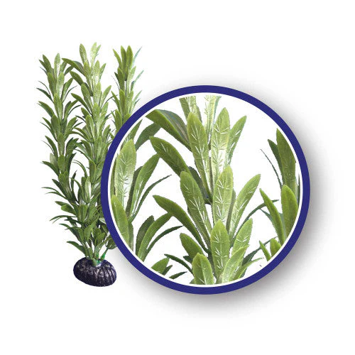 Weco Freshwater Series Anacharis Aquarium Plant Green 9 in - Image 2