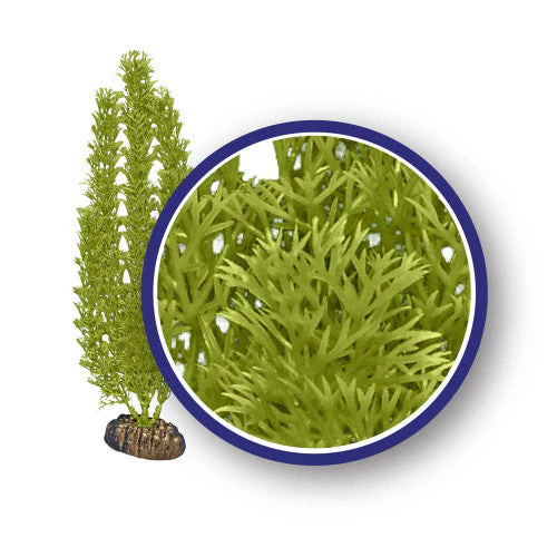 Weco Freshwater Series Foxtail Aquarium Plant Green 18 in - Image 2