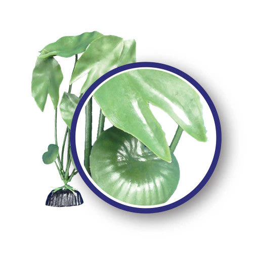 Weco Freshwater Series Tiger Lotus Aquarium Plant Green 6 in - Image 2