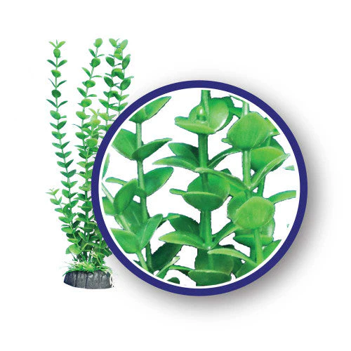 Weco Freshwater Series Bacopa Aquarium Plant Green 18 in - Image 2