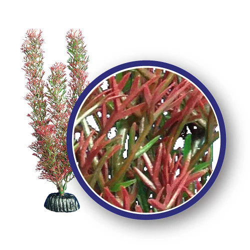 Weco Freshwater Series Foxtail Aquarium Plant Red 18 in - Image 2