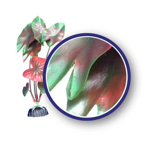 Weco Freshwater Series Tiger Lotus Aquarium Plant Red 9 in - Image 2