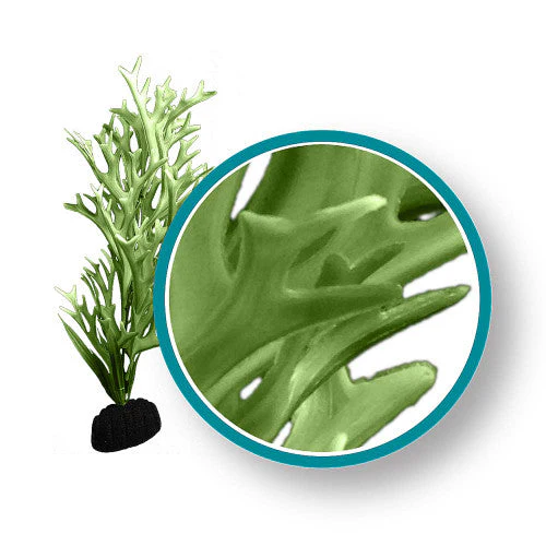 Weco Marine Pro Series Giant Kelp Aquarium Plant Green 9 in Giant - Image 2
