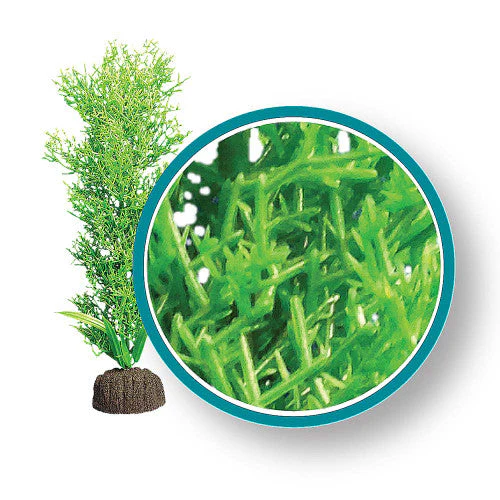 Weco Marine Pro Series Bushy Kelp Aquarium Plant Green 6 in - Image 2